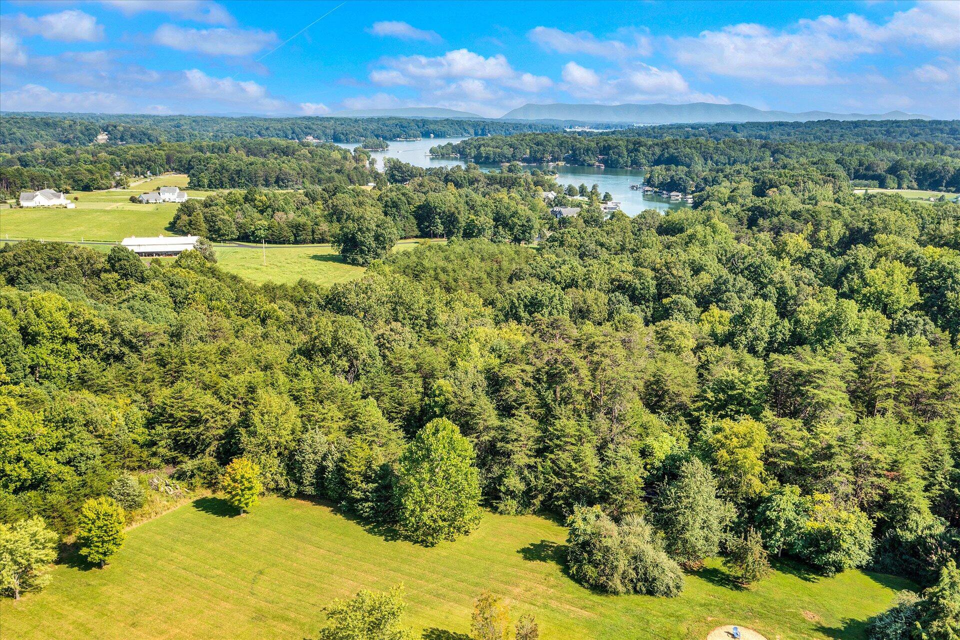1348 Merriman Way Road Moneta, VA 24121 - Photo 41 of 47 41-DJI_0205