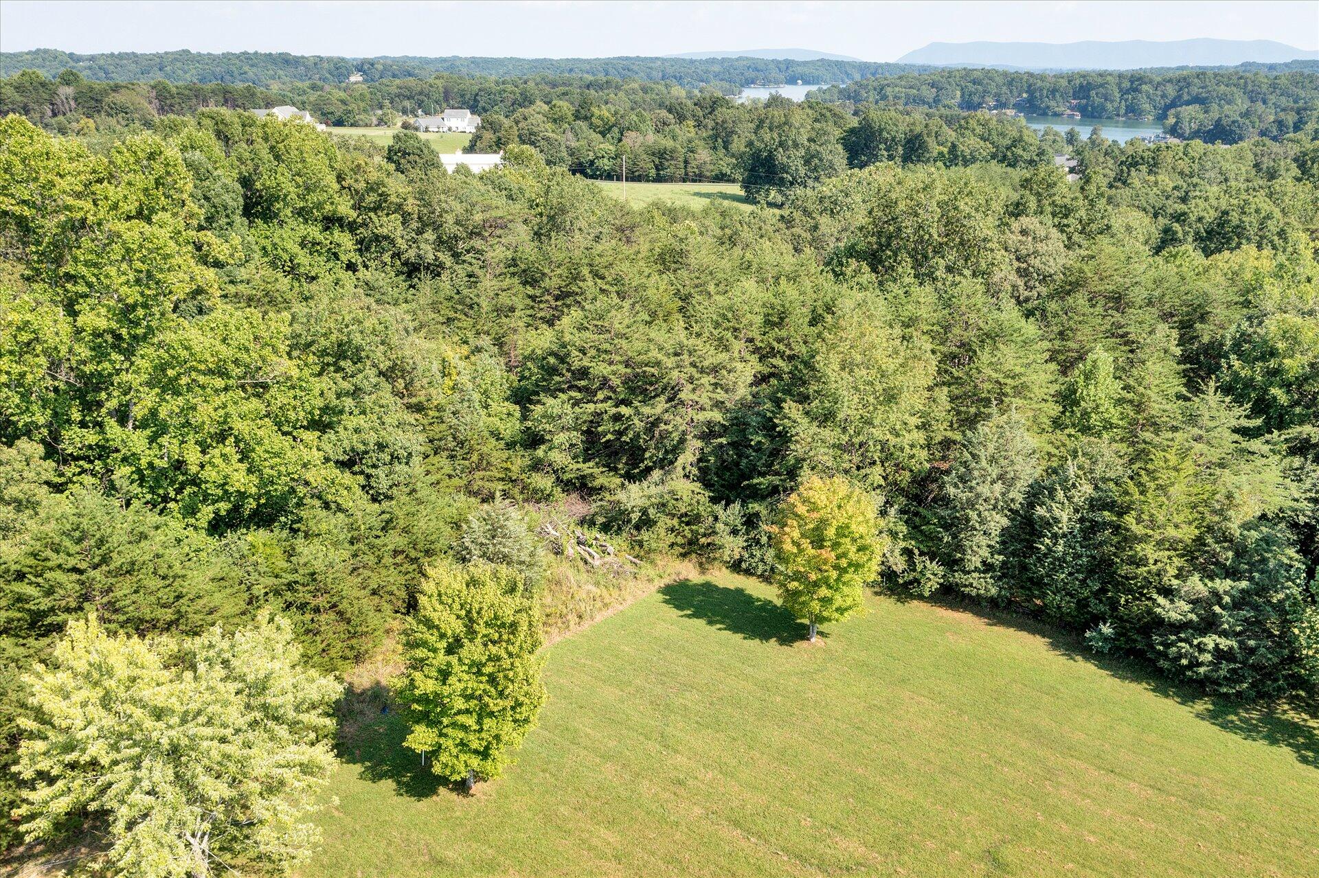 1348 Merriman Way Road Moneta, VA 24121 - Photo 42 of 47 42-DJI_0220