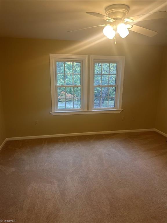 12087 Traphill Road Traphill, NC 28685 - Photo 27 of 35