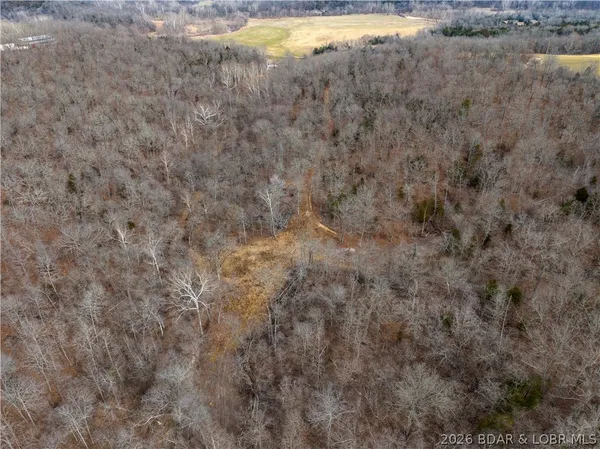 $90,000 | 24-ac Weber Farm Road, Montreal, MO 65591