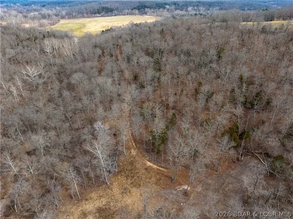 $90,000 | 24-ac Weber Farm Road, Montreal, MO 65591