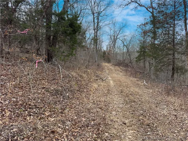 $90,000 | 24-ac Weber Farm Road, Montreal, MO 65591