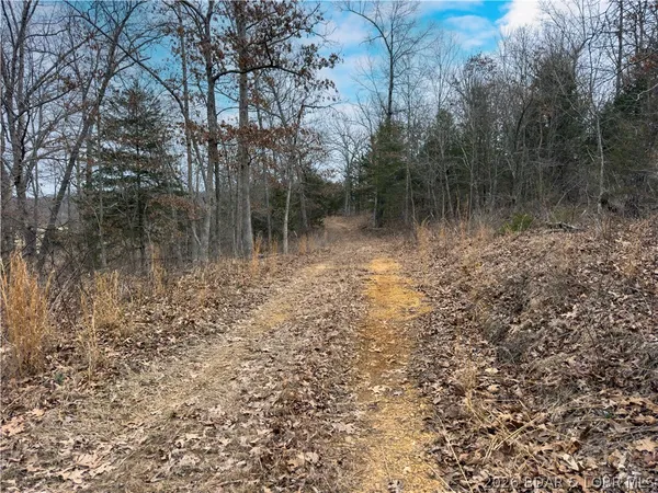 $90,000 | 24-ac Weber Farm Road, Montreal, MO 65591