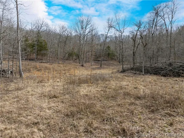 $90,000 | 24-ac Weber Farm Road, Montreal, MO 65591