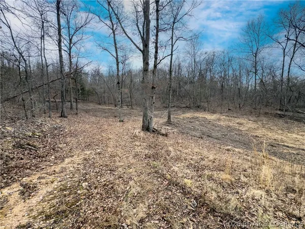 $90,000 | 24-ac Weber Farm Road, Montreal, MO 65591