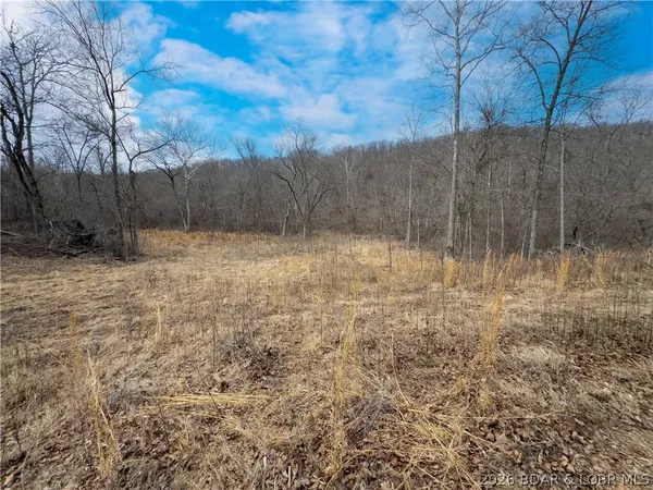 $90,000 | 24-ac Weber Farm Road, Montreal, MO 65591