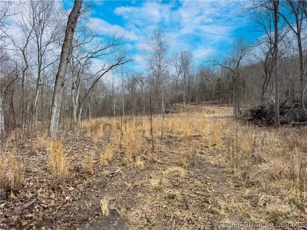 $90,000 | 24-ac Weber Farm Road, Montreal, MO 65591