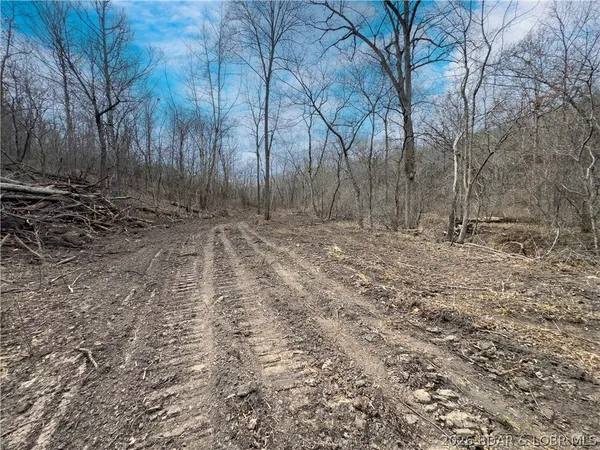 $90,000 | 24-ac Weber Farm Road, Montreal, MO 65591