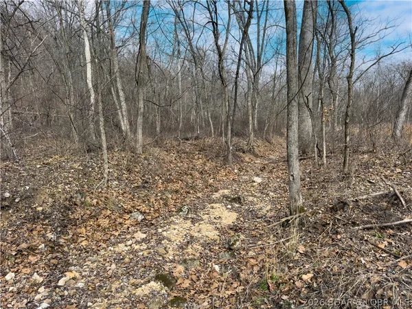 $90,000 | 24-ac Weber Farm Road, Montreal, MO 65591