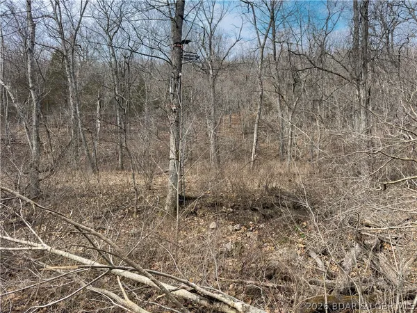 $90,000 | 24-ac Weber Farm Road, Montreal, MO 65591