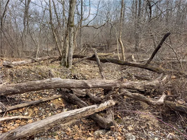 $90,000 | 24-ac Weber Farm Road, Montreal, MO 65591