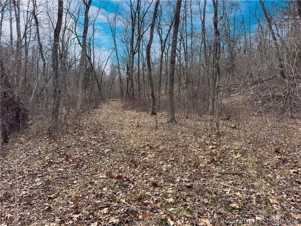 $90,000 | 24-ac Weber Farm Road, Montreal, MO 65591