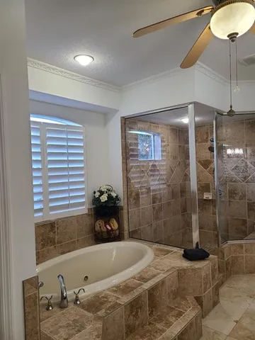 a view of a park with large trees