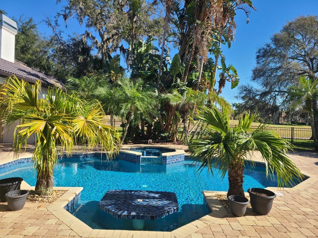 10628 Pontofino Circle Trinity, FL 34655 - Photo 51 of 75 a view of outdoor space yard and patio