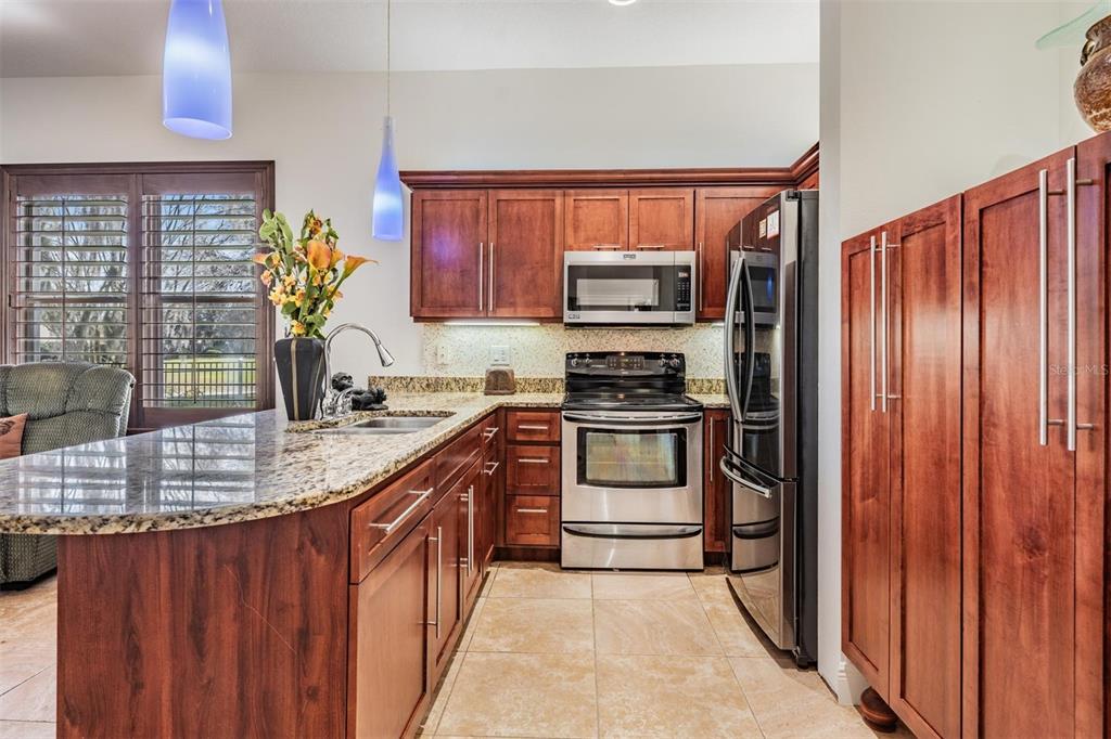 10628 Pontofino Circle Trinity, FL 34655 - Photo 56 of 75