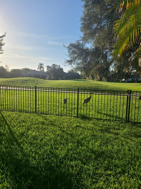10628 Pontofino Circle Trinity, FL 34655 - Photo 65 of 75 a view of a lake with a garden