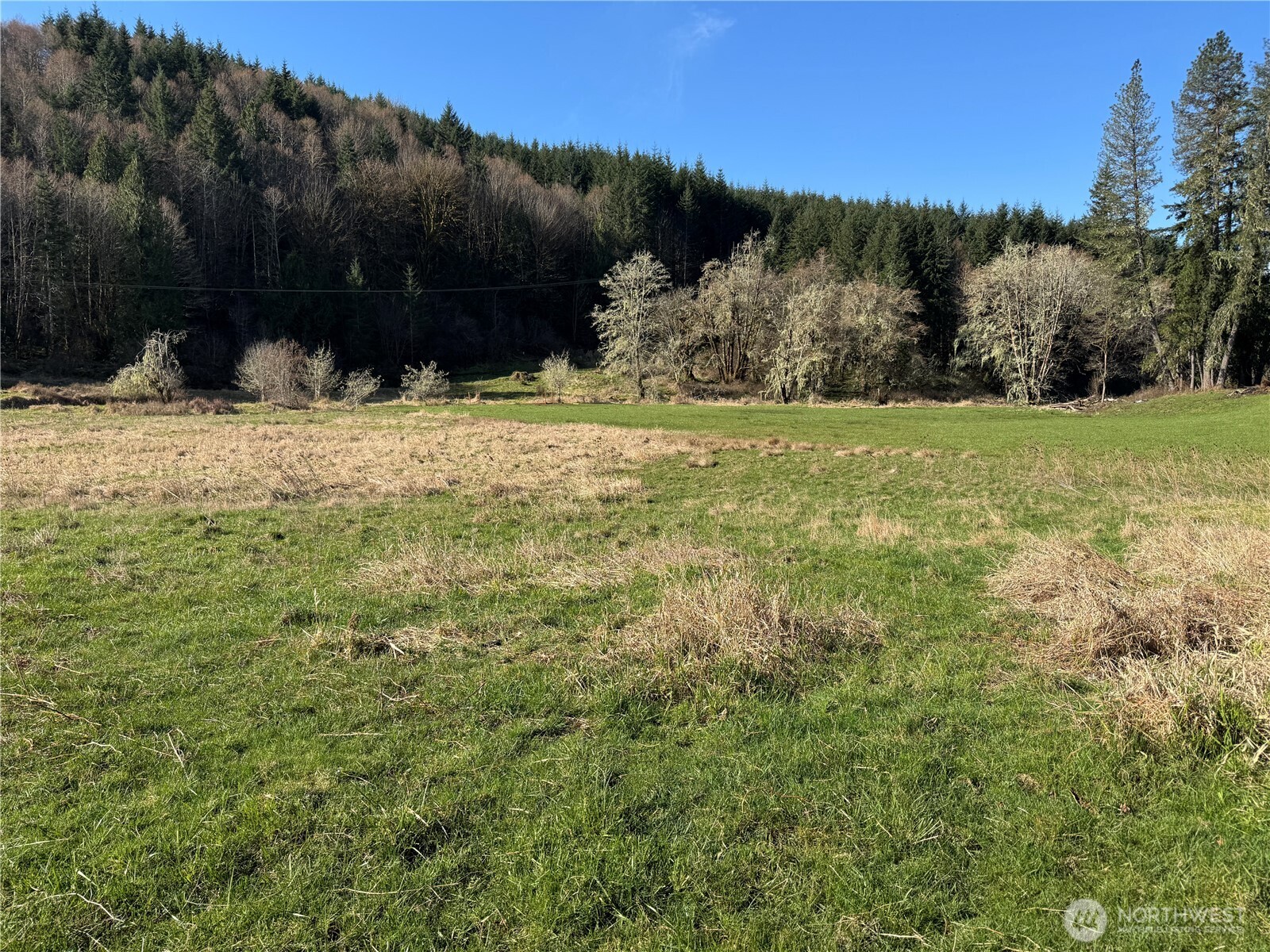 -xxx Xxx Harkum Road Chehalis, WA 98532 - Photo 12 of 18