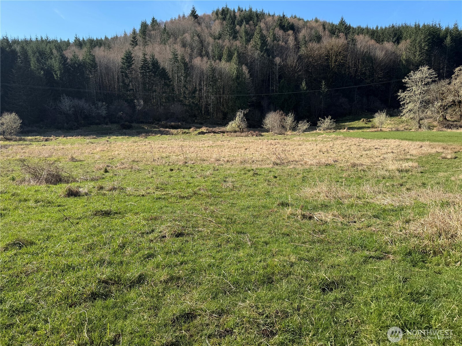 -xxx Xxx Harkum Road Chehalis, WA 98532 - Photo 13 of 18