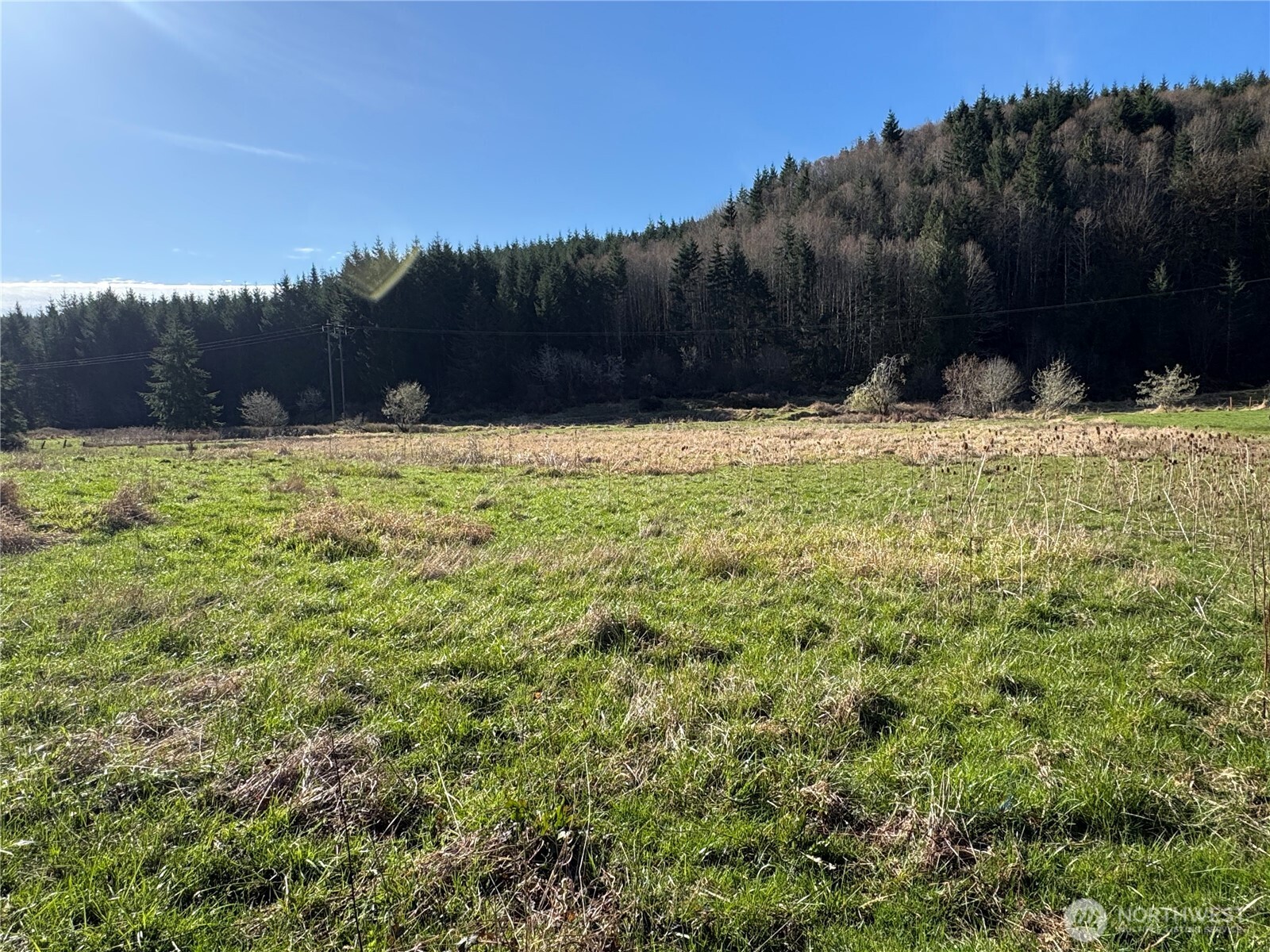 -xxx Xxx Harkum Road Chehalis, WA 98532 - Photo 14 of 18