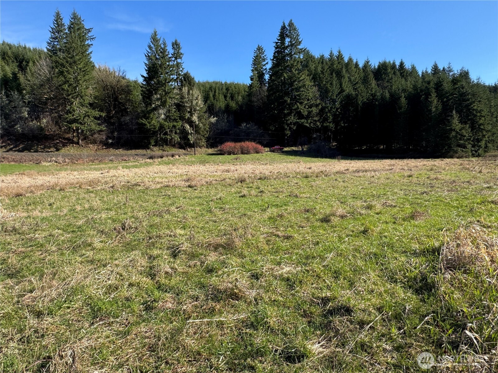 -xxx Xxx Harkum Road Chehalis, WA 98532 - Photo 15 of 18