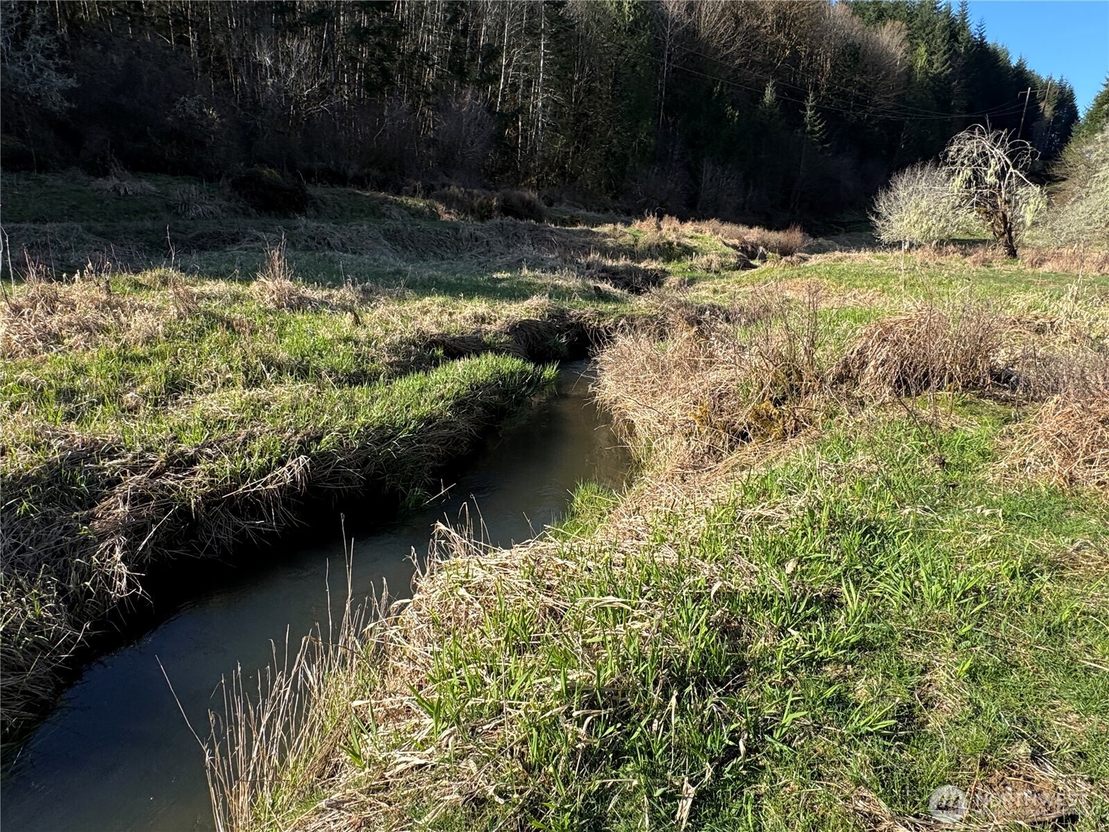 -xxx Xxx Harkum Road Chehalis, WA 98532 - Photo 17 of 18