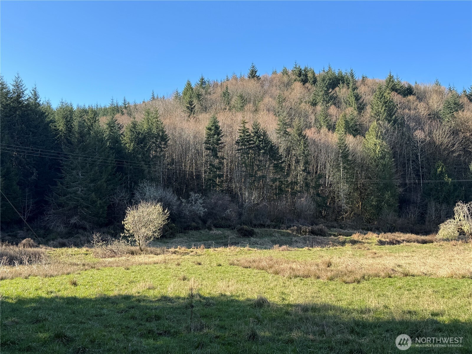 -xxx Xxx Harkum Road Chehalis, WA 98532 - Photo 3 of 18