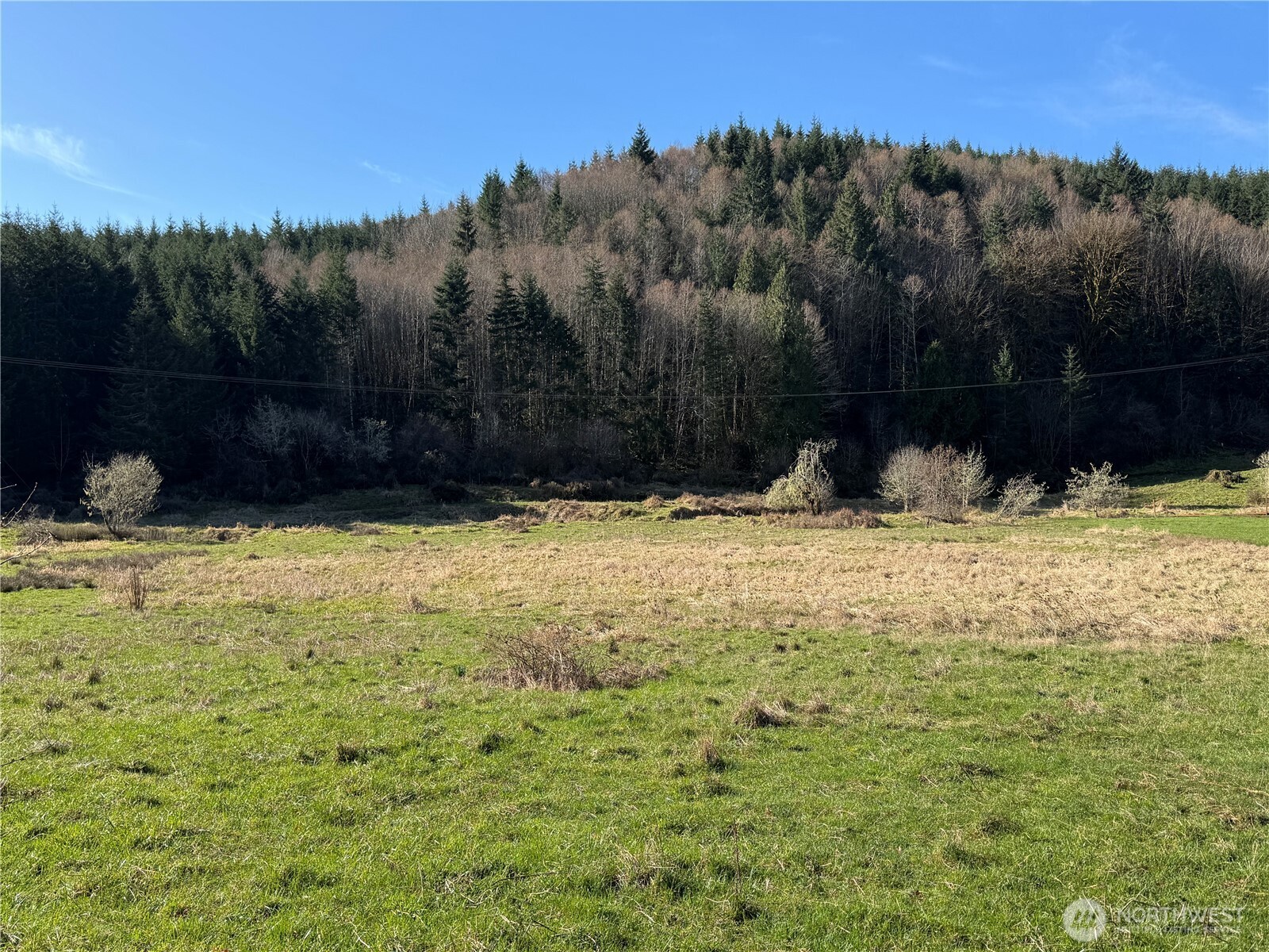 -xxx Xxx Harkum Road Chehalis, WA 98532 - Photo 5 of 18