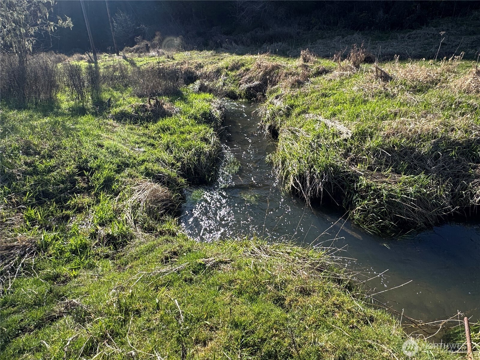 -xxx Xxx Harkum Road Chehalis, WA 98532 - Photo 7 of 18