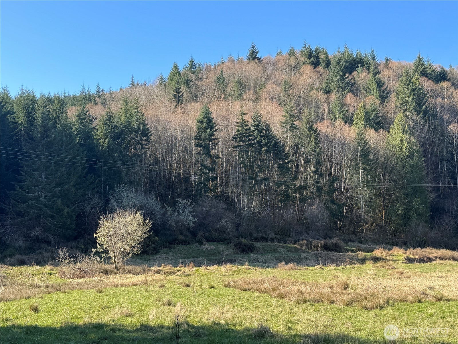 -xxx Xxx Harkum Road Chehalis, WA 98532 - Photo 9 of 18