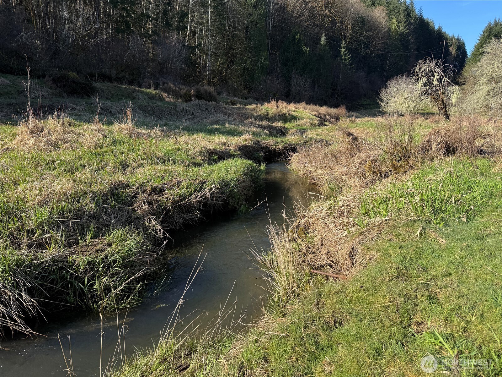 -xxx Xxx Harkum Road Chehalis, WA 98532 - Photo 10 of 18