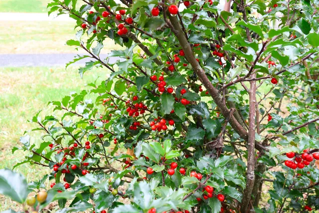 $374,900 | 113 Hanover Street, Hartford, VT 05001