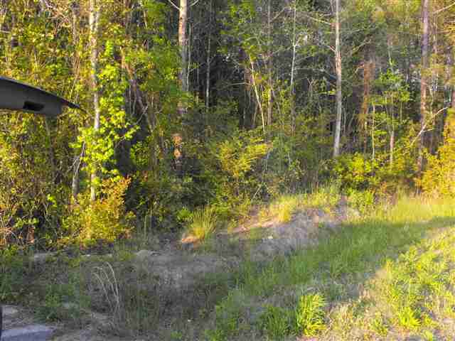 1206 Oscar Road Little River, SC 29566 - Photo 2 of 8 Gallery Image 2