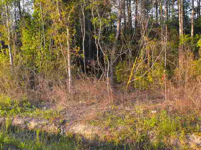 1206 Oscar Road Little River, SC 29566 - Photo 5 of 8 Gallery Image 5
