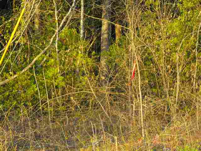 1206 Oscar Road Little River, SC 29566 - Photo 7 of 8 Gallery Image 7
