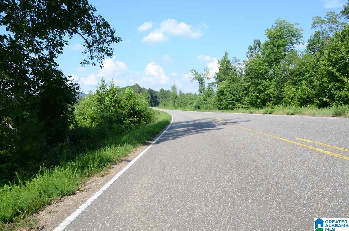 10098 County Road 55, Unit 24 ACRES Fruithurst, AL 36262 - Photo 4 of 27