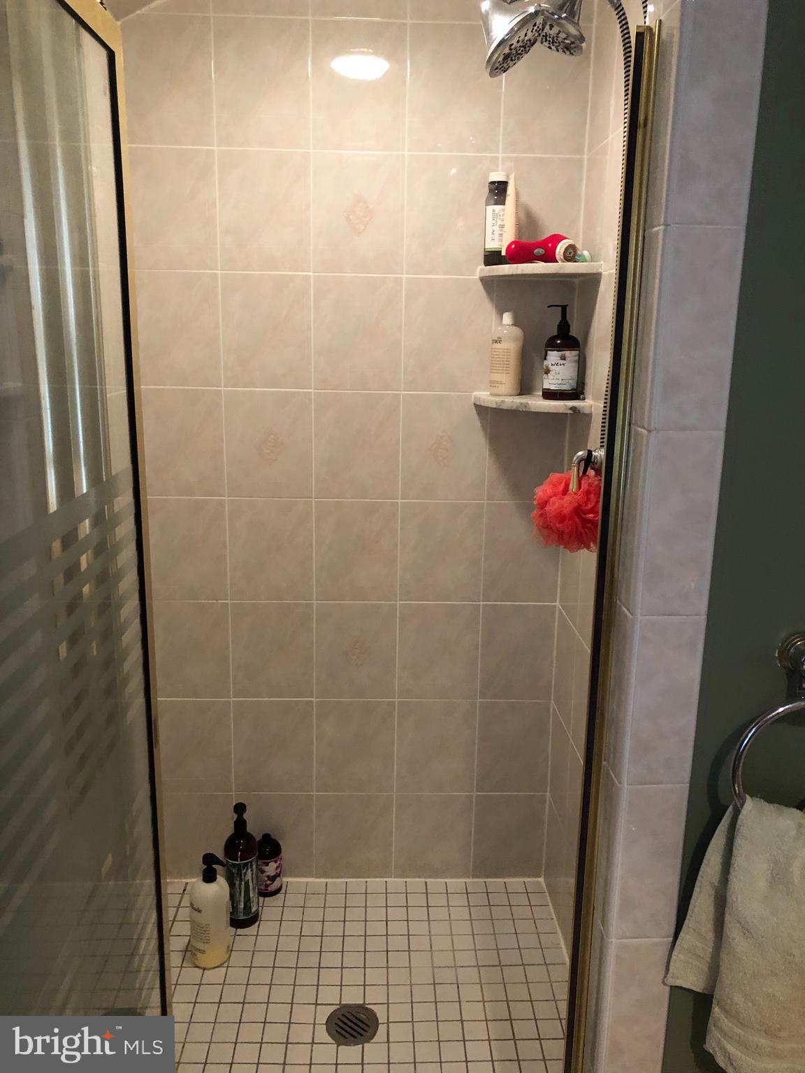 229 Signal Road Drexel Hill, PA 19026 - Photo 19 of 31 Shower stall