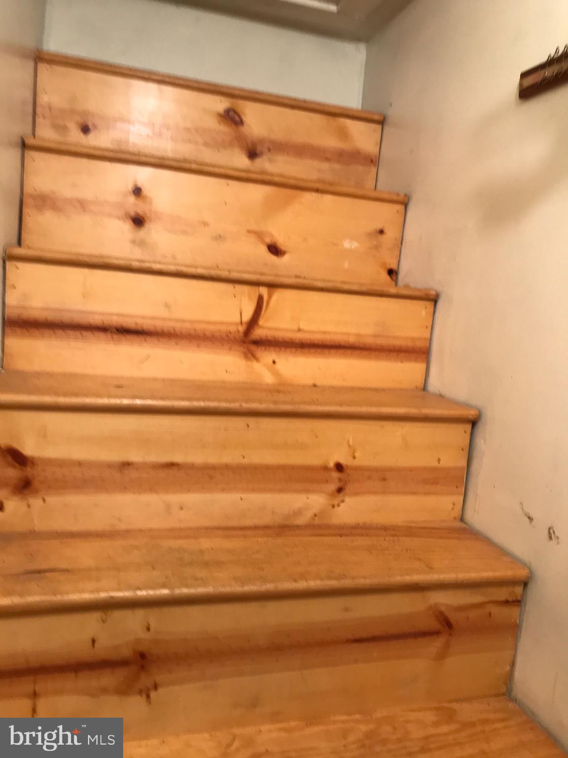 229 Signal Road Drexel Hill, PA 19026 - Photo 20 of 31 Stairs to attic