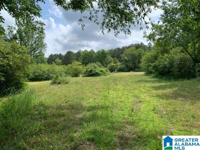 450 Blythe Road Springville, AL 35146 - Photo 28 of 29 Gallery Image 28