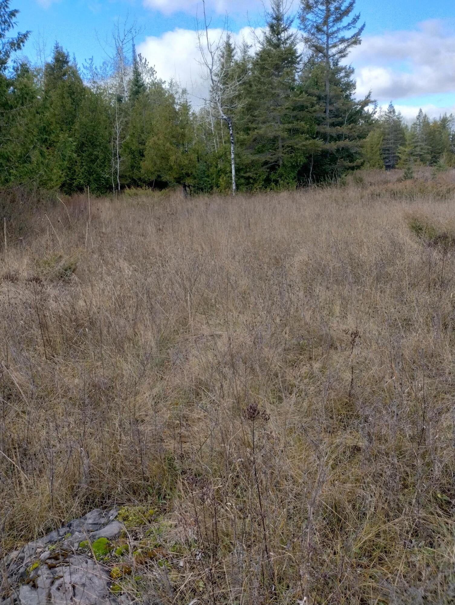 Nhn West Hamilton Road Alpena, MI 49707 - Photo 13 of 44 Gallery Image 13