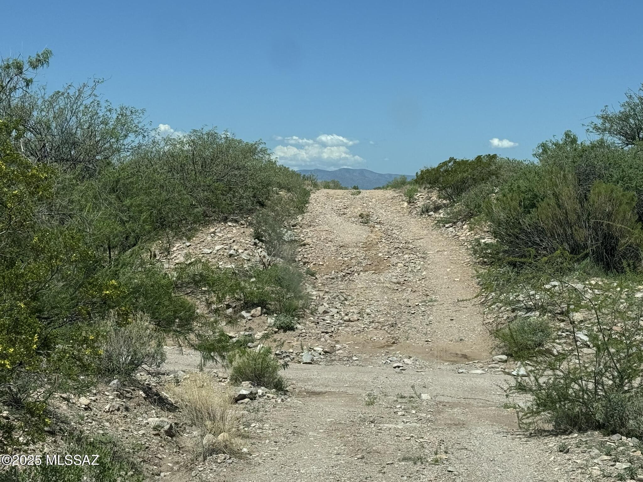 40-acres East Get Lost Road Douglas, AZ 85607 - Photo 15 of 28