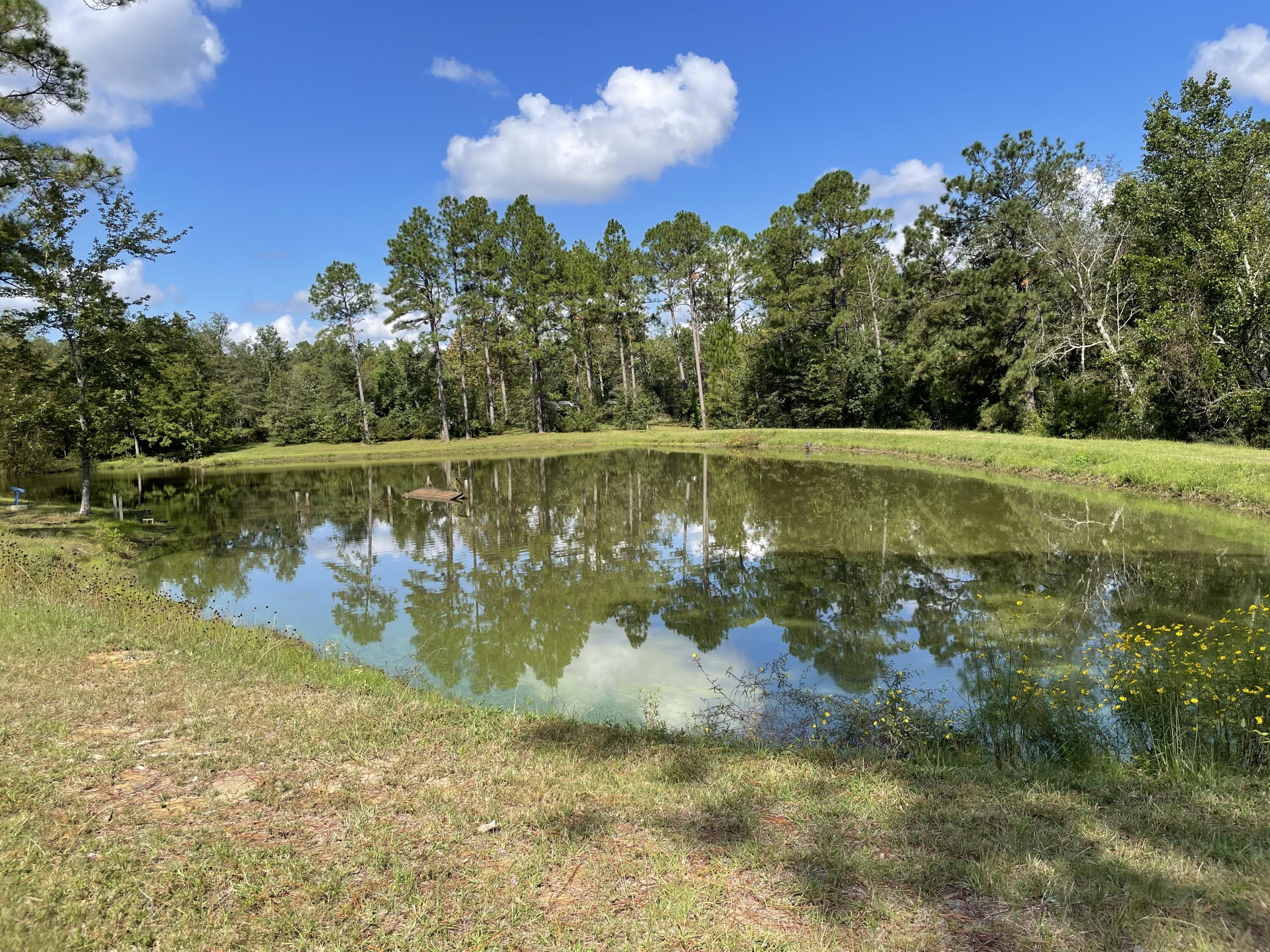 22525 Armes Road Saucier, MS 39574 - Photo 59 of 68 78155B6A-68D0-4504-BC95-19D896718C7E