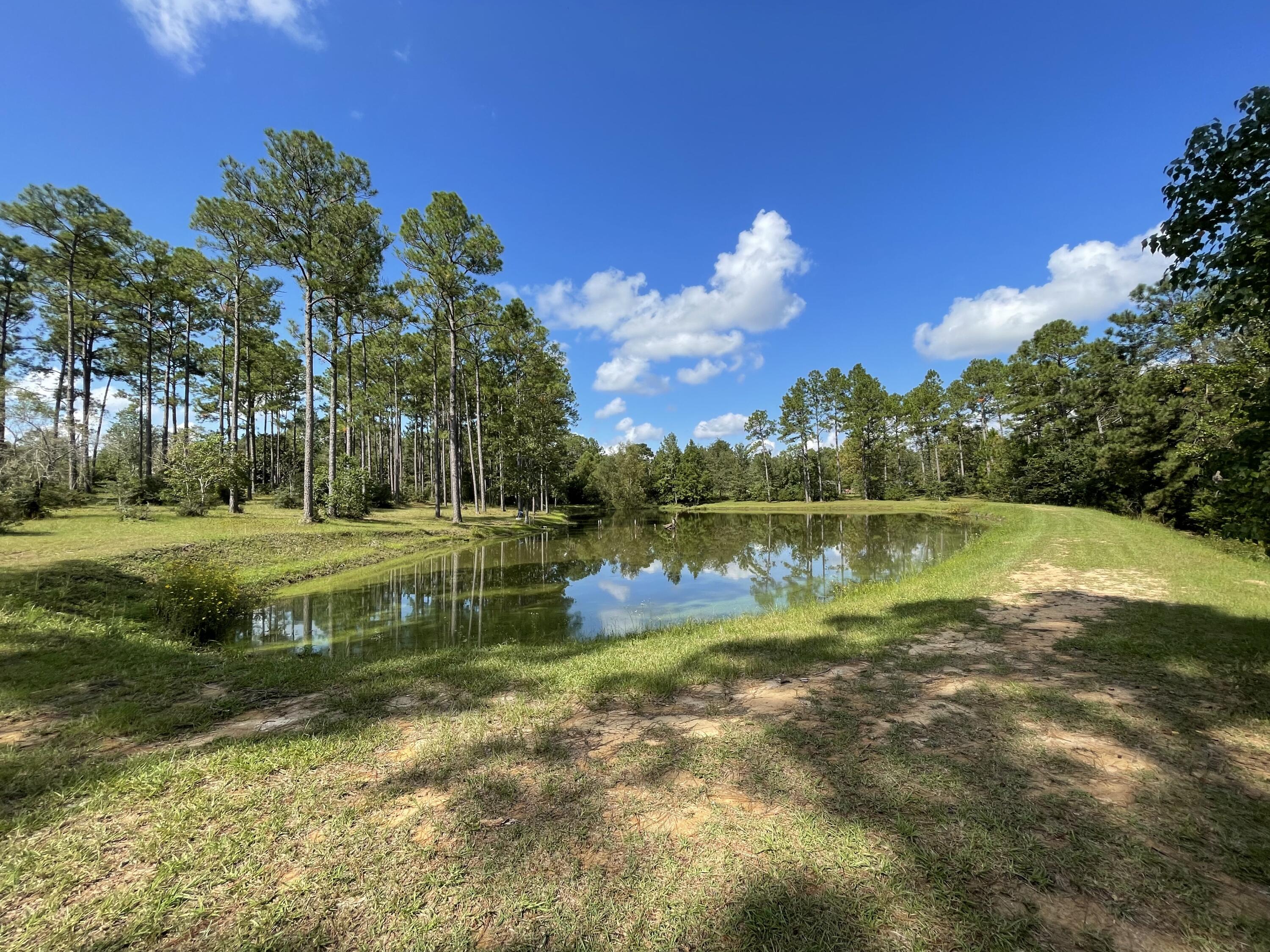 22525 Armes Road Saucier, MS 39574 - Photo 60 of 68 9BA6CEC2-F96E-4335-B162-3CBD0ADC670B
