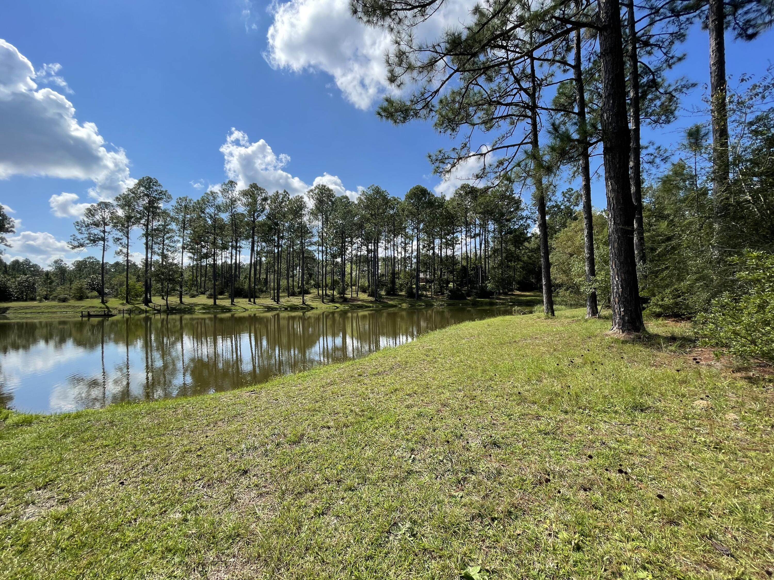 22525 Armes Road Saucier, MS 39574 - Photo 8 of 68 4D3C72ED-FCEC-4A97-A7F2-96AF6DE861D9