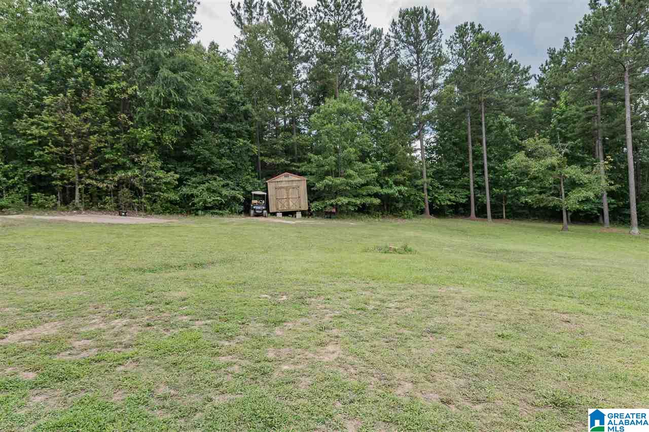 180 Turkey Trail Road Odenville, AL 35120 - Photo 38 of 40