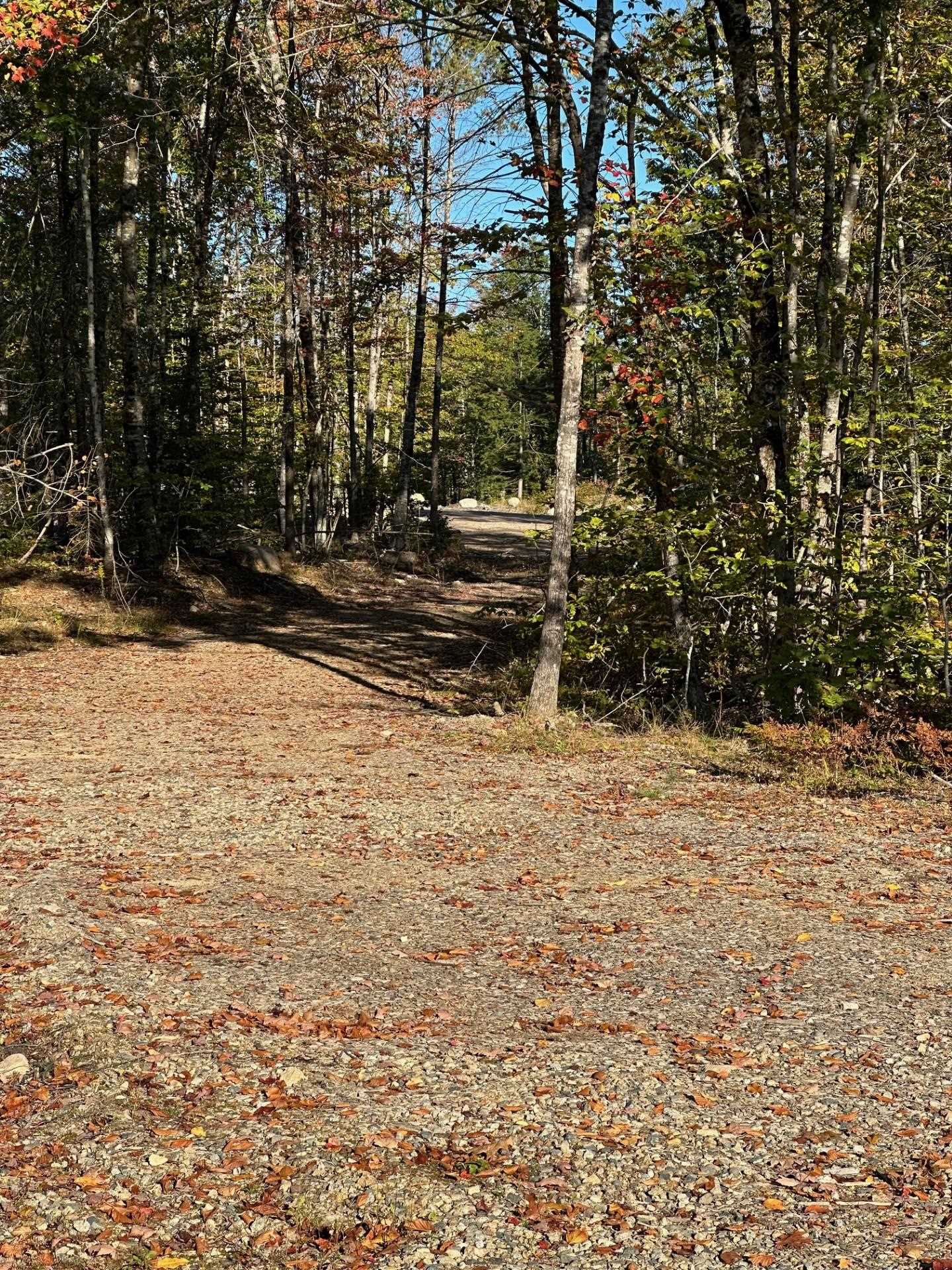 0 Pinkham Road, Unit 115 Middleton, NH 03887 - Photo 3 of 4