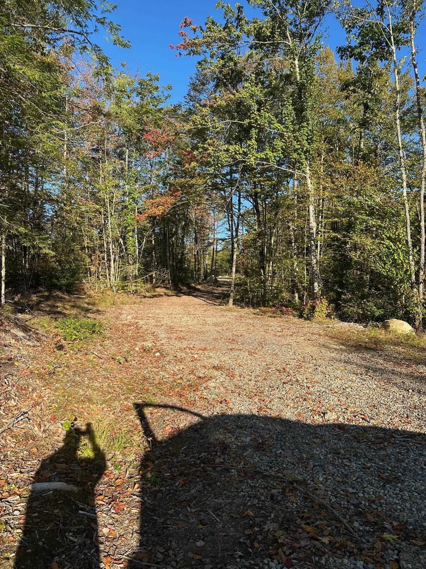 0 Pinkham Road, Unit 115 Middleton, NH 03887 - Photo 4 of 4