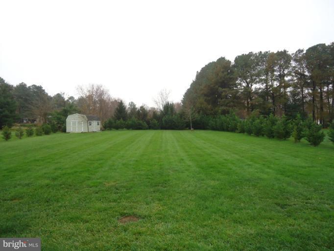 203 Bentons Pleasure Road Chester, MD 21619 - Photo 14 of 24 HUGE BACKYARD WITH SHED