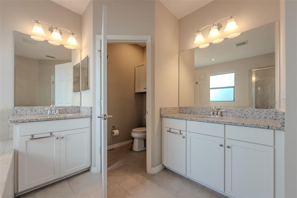 4730 Wandering Way Wesley Chapel, FL 33544 - Photo 28 of 61 a bathroom with a granite countertop sink a toilet and a mirror
