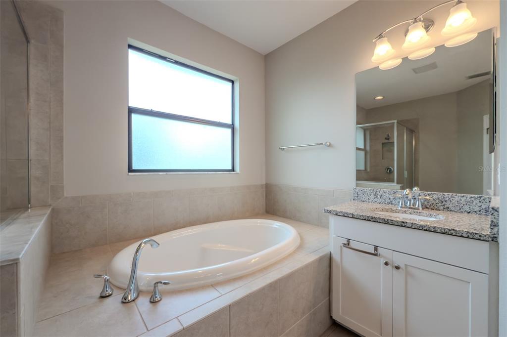 4730 Wandering Way Wesley Chapel, FL 33544 - Photo 30 of 61 a bathroom with a granite countertop sink a toilet and mirror