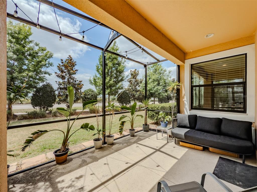 4730 Wandering Way Wesley Chapel, FL 33544 - Photo 48 of 61